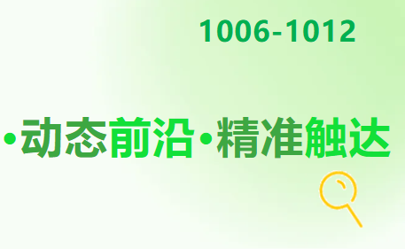 限行！2030年全面建成！